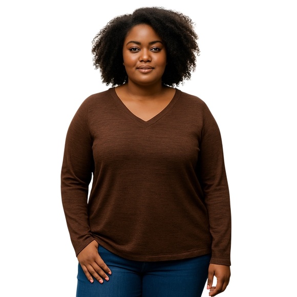 Time and Tru Brown V-Neck Sweater with Long Sleeves and Relaxed Fit - Picture 1 of 5